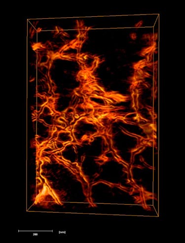 Agarose in calcite