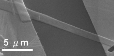 ZnO nanobelt device