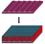 Dense chip