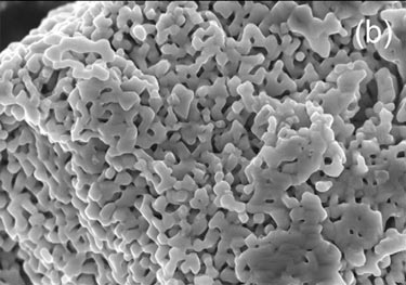 3D sponge-like porous network