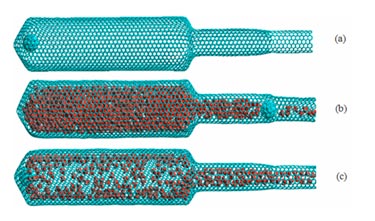 Fill, lock and discharge: nanocapsule for methane storage