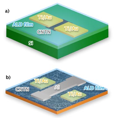 Schematic view: CNT-based transitors