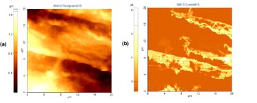 Evaluating the microstructure and the electrical behaviour in tandem
