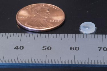 Implantable diagnostic device