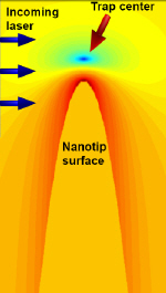 Trapping an atom