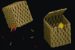 Nano-boxes