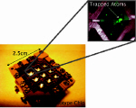 Trapped atoms in the chip