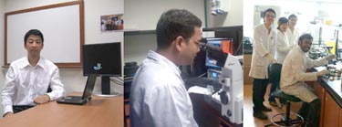 Development team