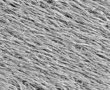 Large-area ordered nanowire array