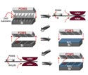 Schematic view