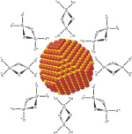 CdSe nanocrystal