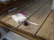 Nanoparticle solution