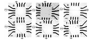 Nanowires grown between user-selected electrode pairs