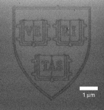 Harvard logo in graphene