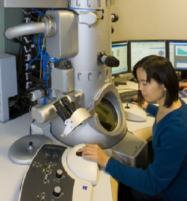Operating the TEM