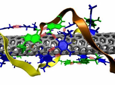 Decorating a carbon nanotube with DNA