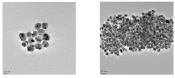 Before and after adding tau protein