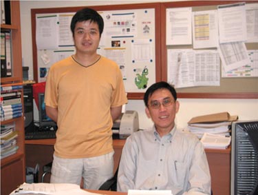 Developing better batteries
