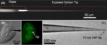 Nanopipette: images of the integrated carbon probe