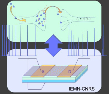 Organic transistor has nervous disposition