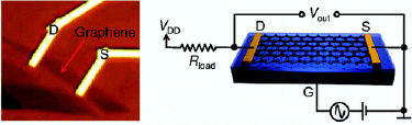 The device