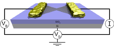 The graphene NCFET