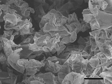 Curved graphene sheets