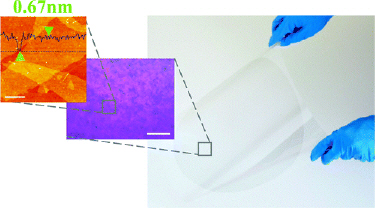 Graphene oxide films