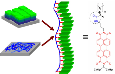 Macromolecular scaffold