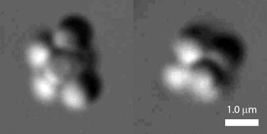 Entropy in action: less symmetric clusters are more common