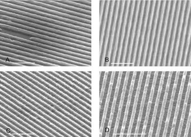 Laser patterning: aluminium, gold, copper and nickel gratings