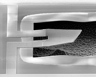 Micrograph of the resonator