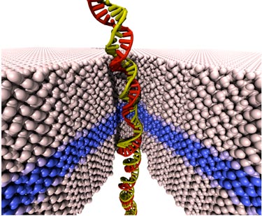 Nanopore device for sequencing double-stranded DNA