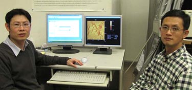 Image analysis: soft-contact AFM imaging under liquid