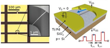 In detail: carbon nanotube test device