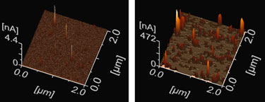 Conductive AFM images: local current flow