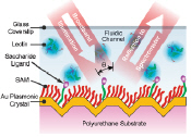 Real-time biosensing