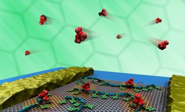 Illustration of a DNA-graphene sensor