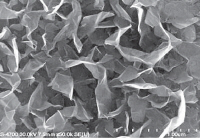 Graphene nanosheet electrode