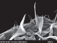 A different view of the electrode