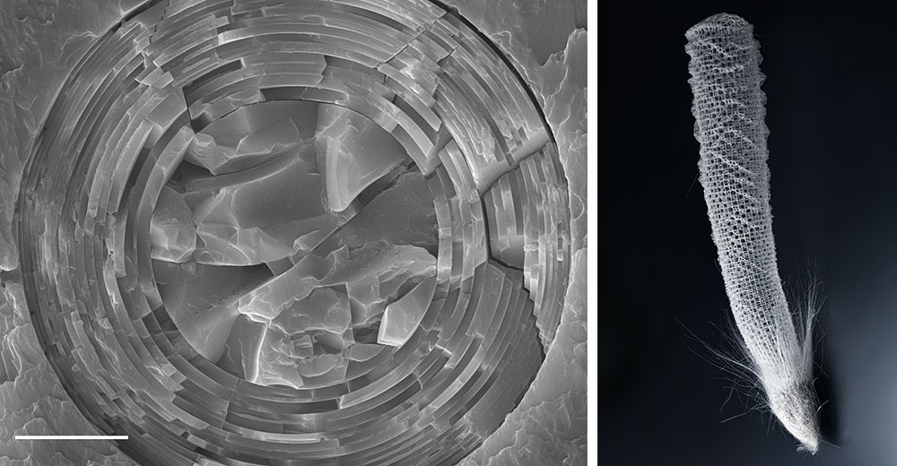 Our favourite pictures of 2015