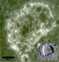 Apollo's view of Ina