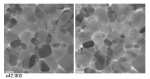 Phase transition