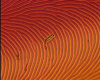 Glass rod on liquid crystal