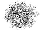 The web portal