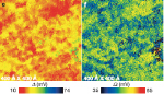 Interplay between electrons and phonons
