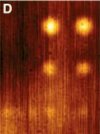 Superlens image