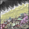 Random filaments