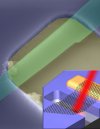 Graphene resonator