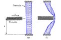 Elastic nanotube